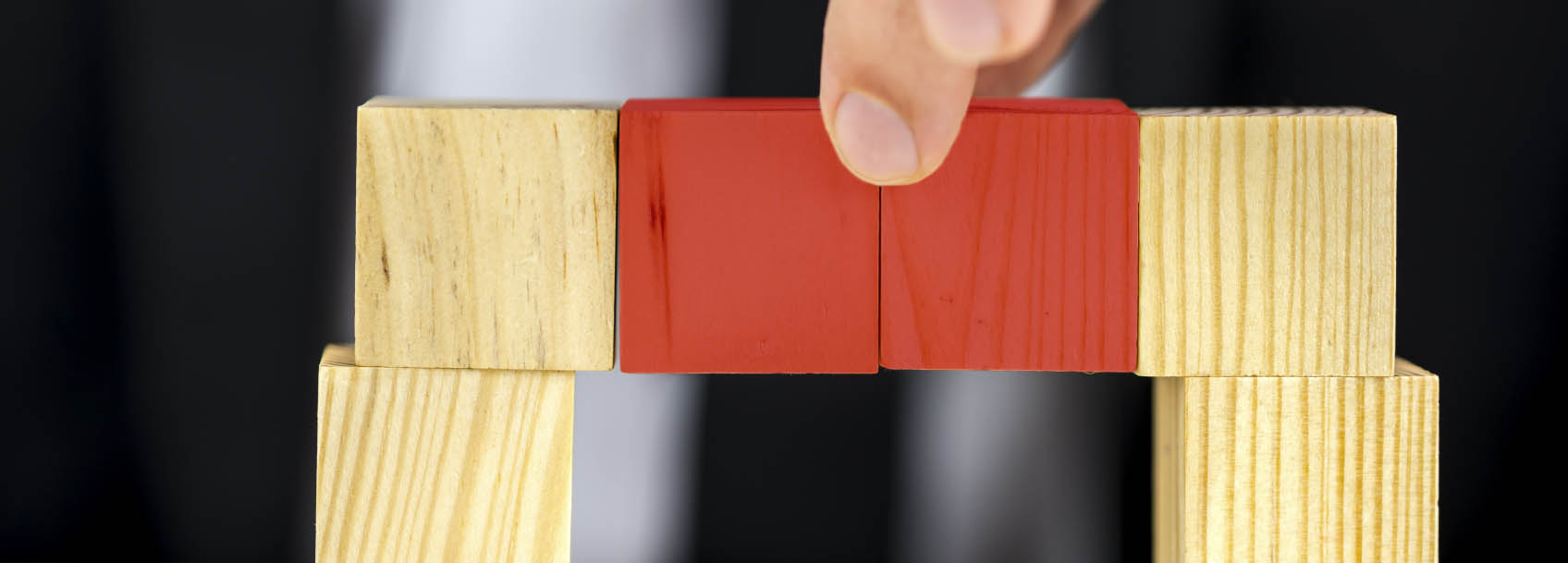 Dispute Management and Resolution, Construction Law